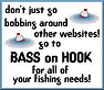 Click Here To Visit BASS on HOOK!