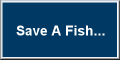 Click Here To Visit BASS on HOOK!