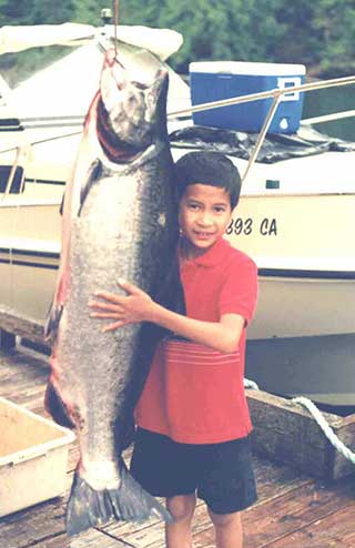 Tyee Chinook Salmon