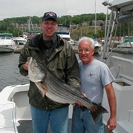 very nice striper caught by a guest
