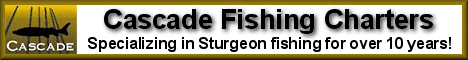 Click Here To Visit Our Sponsors!
