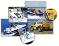 Fishing Decals