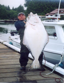 Jay's Huge Halibut!