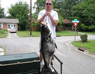 85 lb carp from Bass on Hook