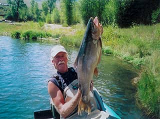 record size cutthroat trout