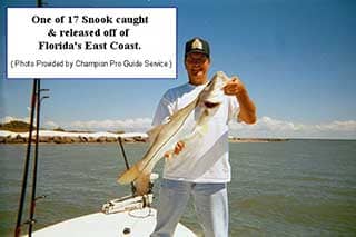 Snook Caught and Released off of Floridas east coast