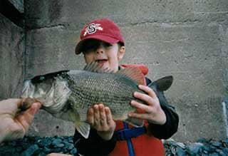 largemouth bass from Bass on Hook