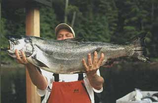 Nootka Sound Chinook Salmon