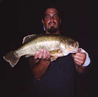 Largemouth Bass