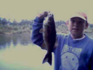 Zigs Nice Bass