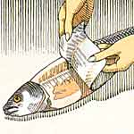 step two-peel off skin of salmon with blade of knife and pull off fins