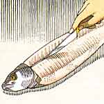 step four-turn over salmon and repeat steps one to three, than cut down along backbone
