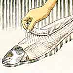 step six-cut through head and tail with scissors and peel away