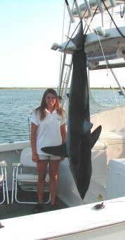 Mako Shark!